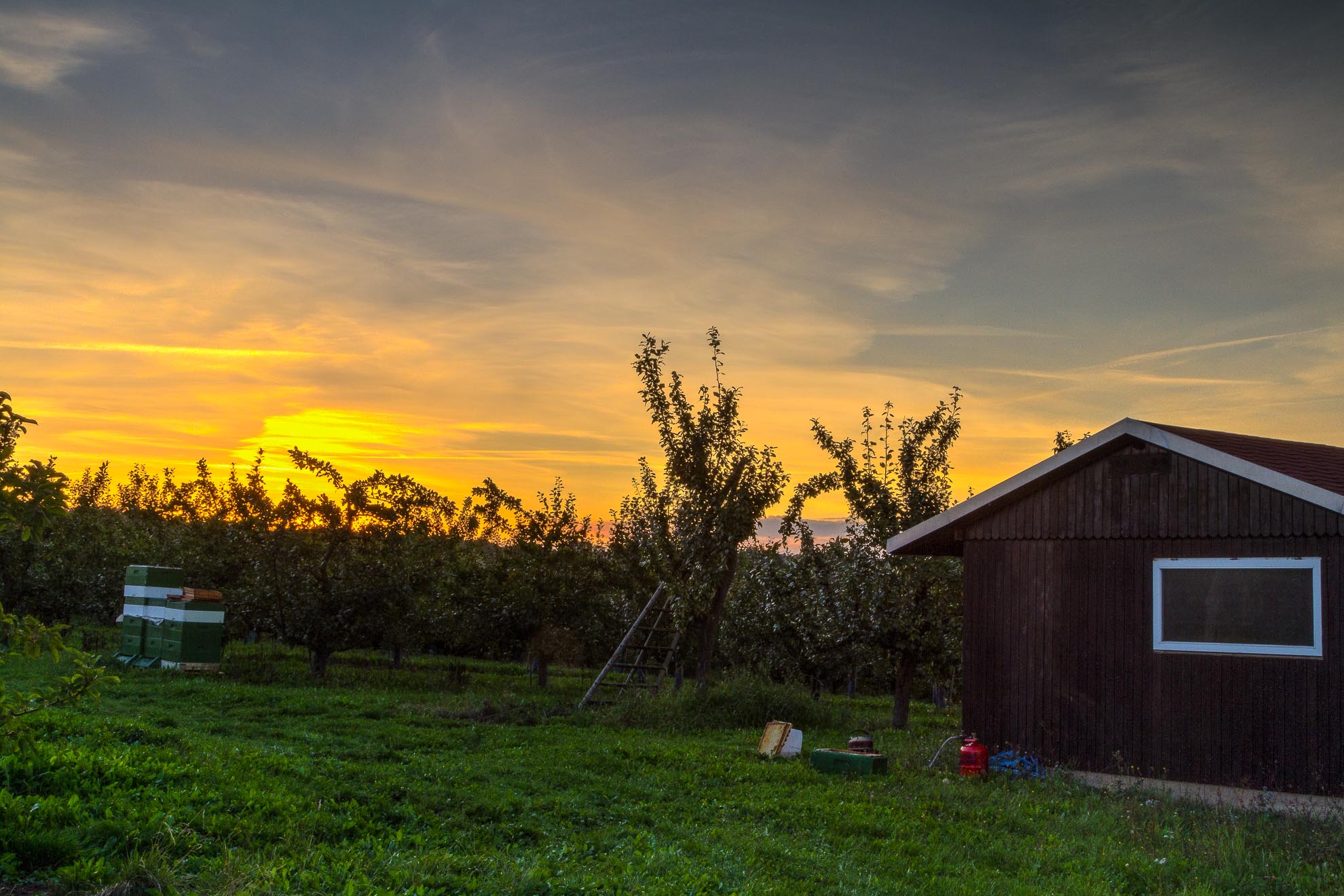 Obstbau Jorde - _MG_1236_7_8- sRGB - 1980 - 72dpi - 400k Monitorausgabe