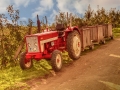 Obstbau Jorde - sRGB - 1980 Pixel - 72 dpi - - max 400k - Bildschirm-4